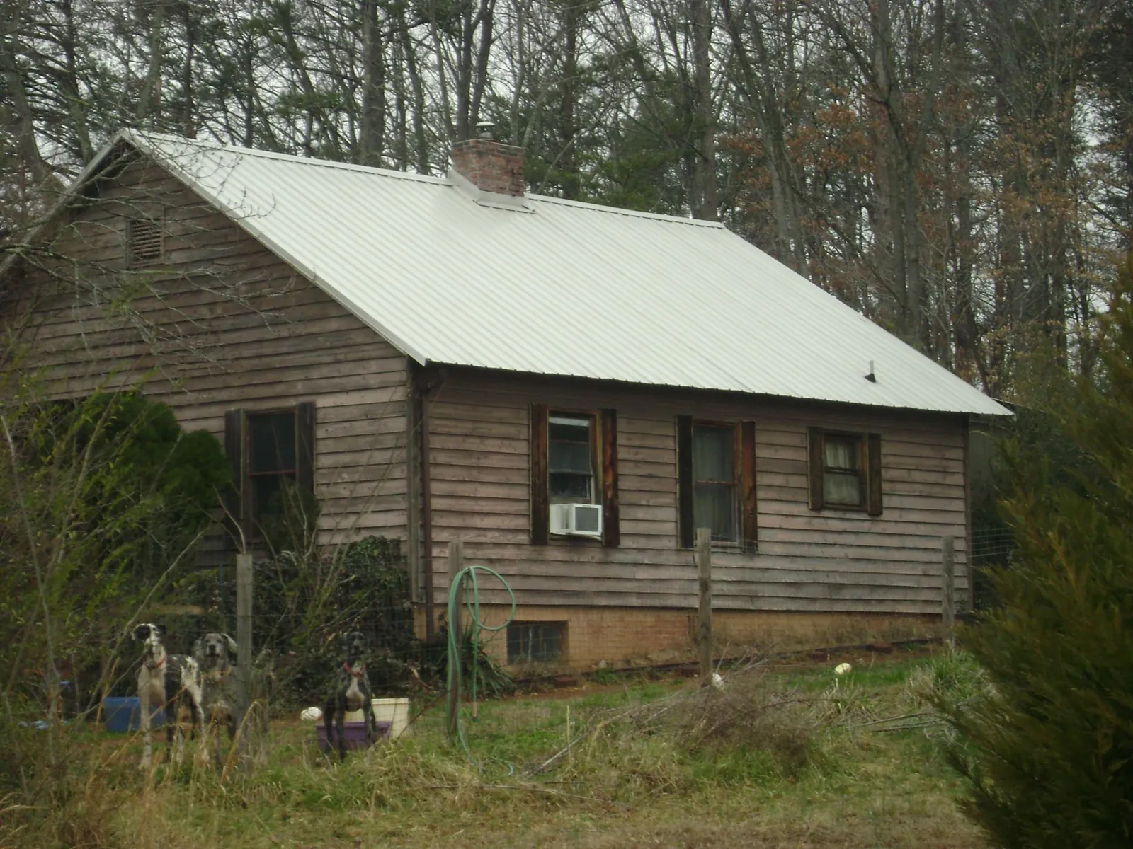 White metal roof on an old wood sided farmhouse, from a Asphalt Shingle Roof Repair job in New Virginia